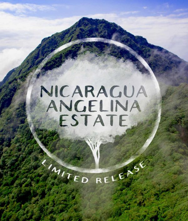 Nicaragua Angelina Estate - Image 2