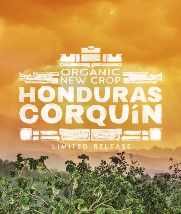 Organic New Crop Honduras Corquín - Image 2