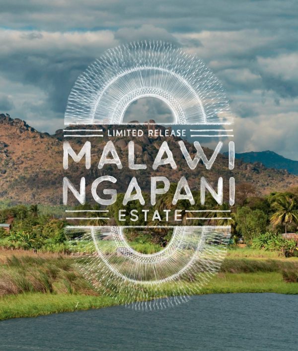 Malawi Ngapani Estate - Image 2