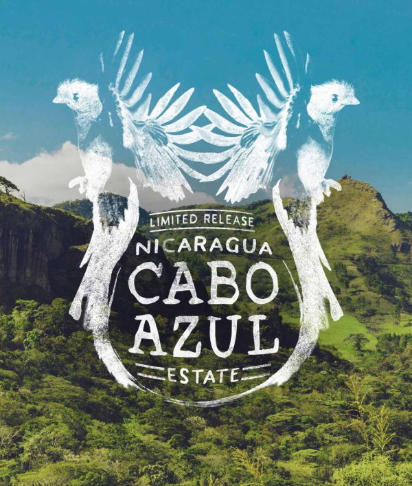 Nicaragua Cabo Azul Estate - Image 2