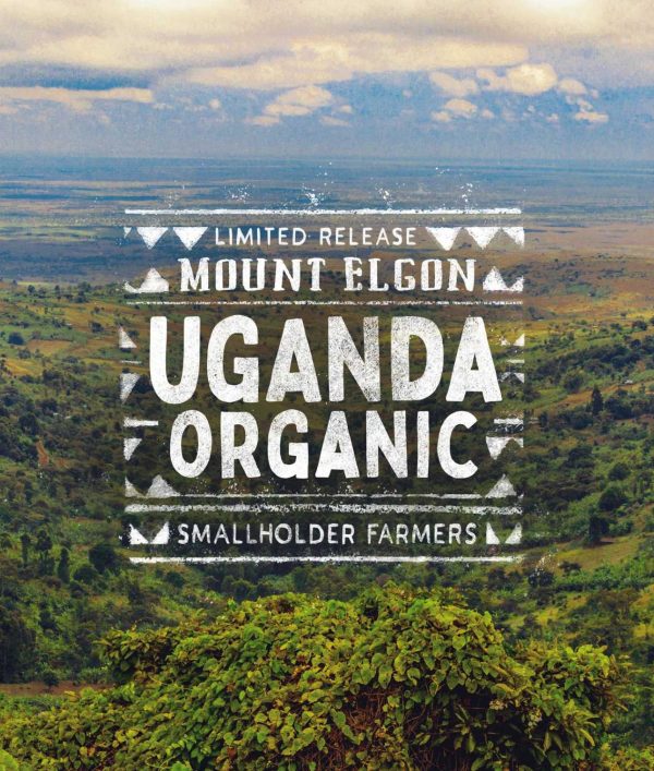 Mount Elgon Uganda Organic - Image 2