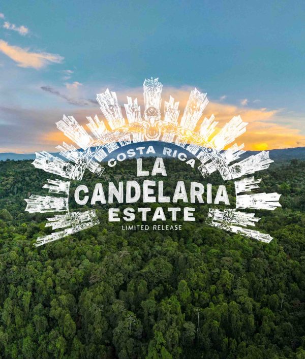 Costa Rica La Candelaria Estate - Image 2