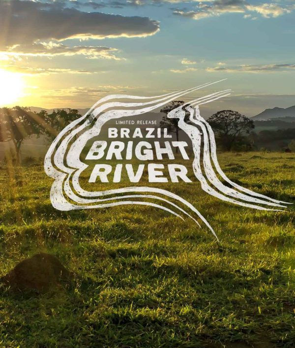 Brazil Bright River - Image 2