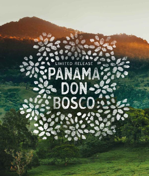 Panama Don Bosco - Image 2