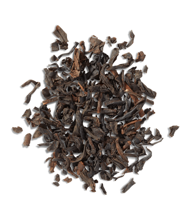 Vanilla Bean