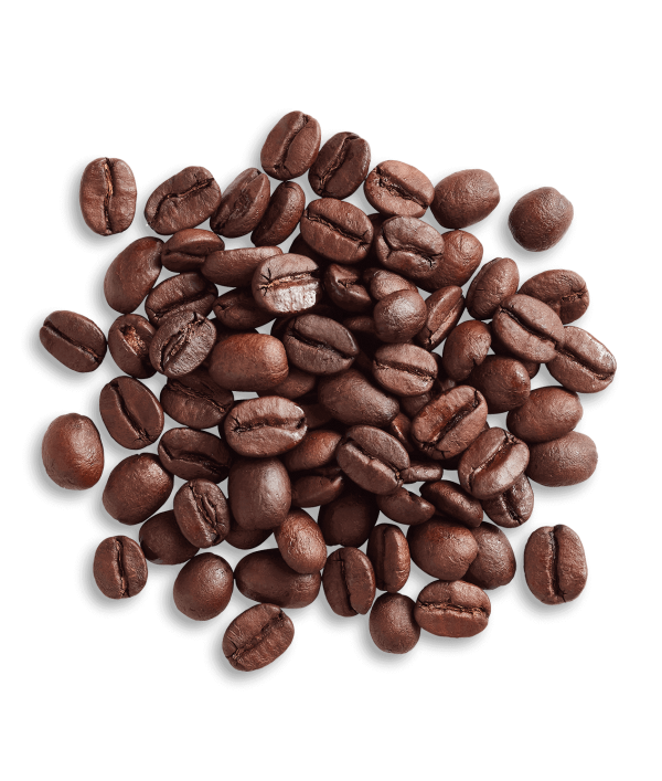 Brazil Fazendas Dutra Organic - Image 3