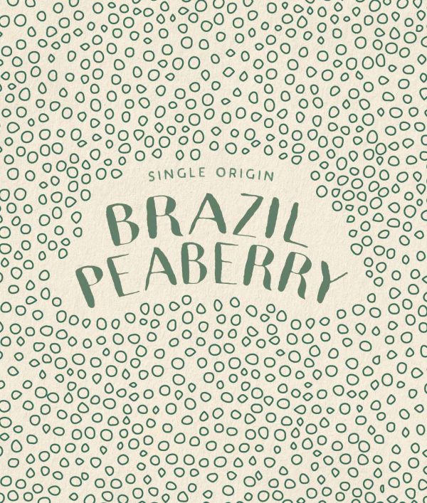 Brazil Peaberry - Image 2