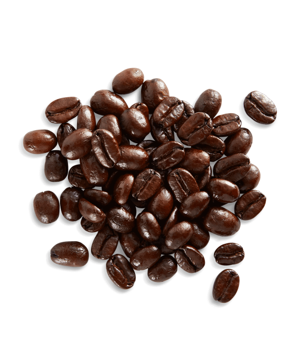 Organic French Roast - Image 3