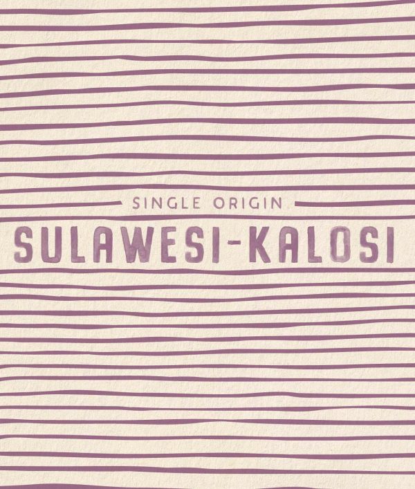 Sulawesi-Kalosi - Image 2