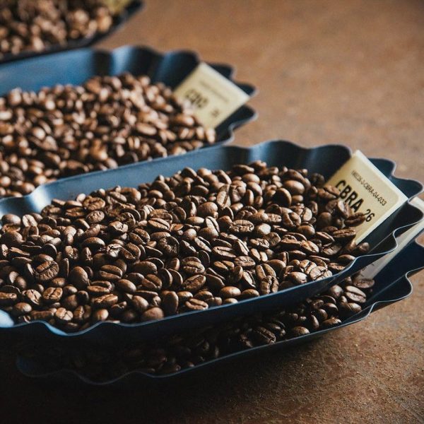 Signature Blend Series - Image 3